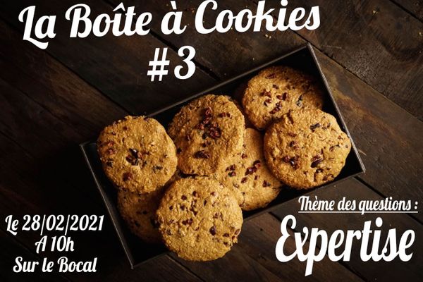 La Boîte à Cookies #3 : Expertise